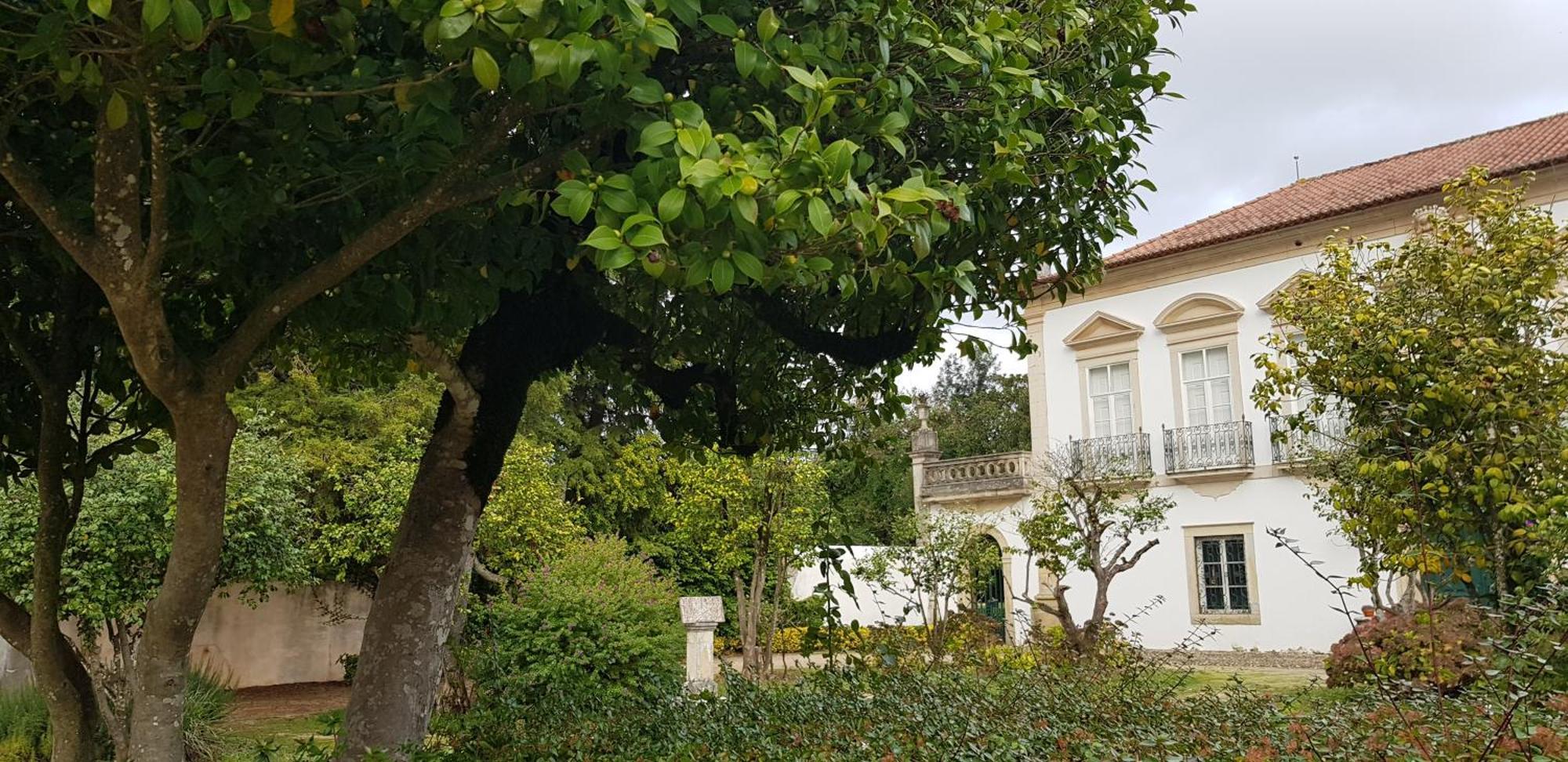 Palacio Da Portela III Coimbra Exterior photo